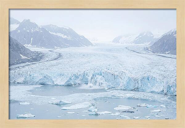 Holgate Glacier Landscape