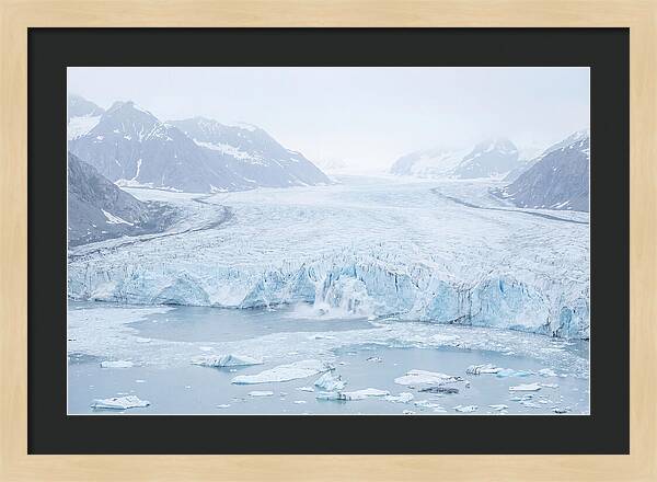 Holgate Glacier Landscape