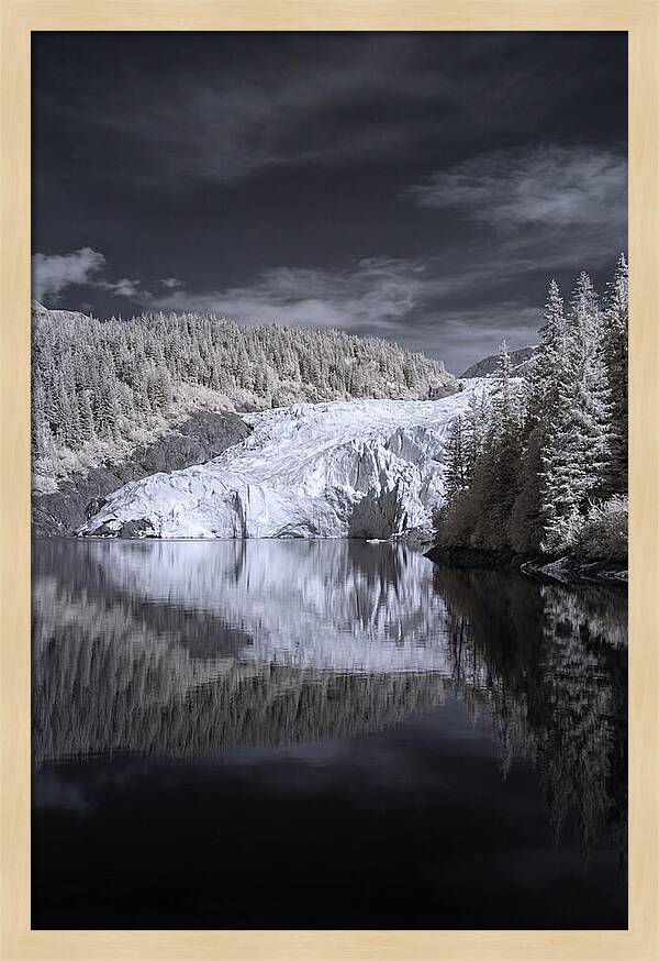 Holgate Glacier Reflection