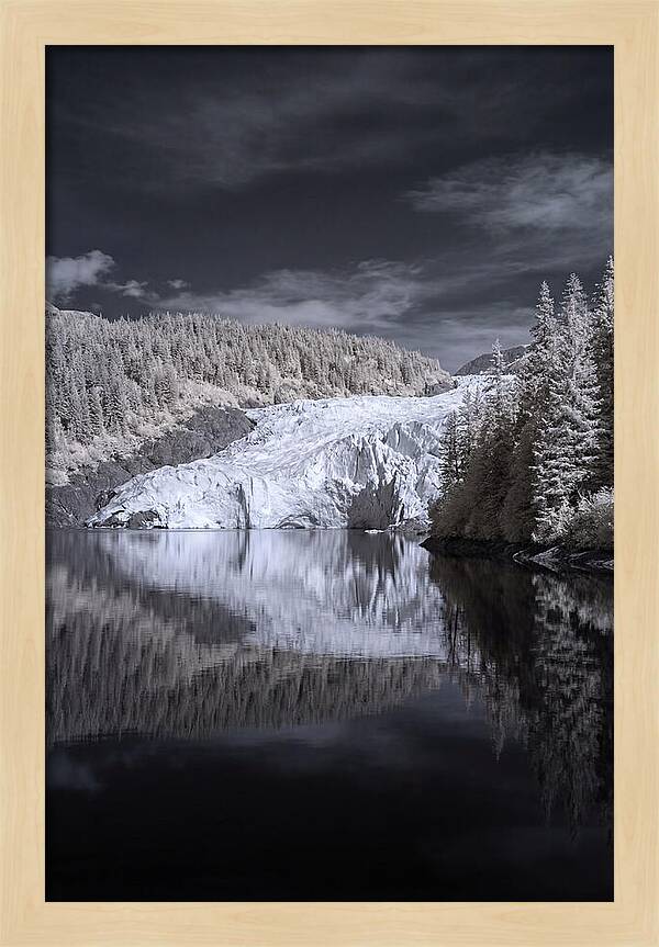 Holgate Glacier Reflection