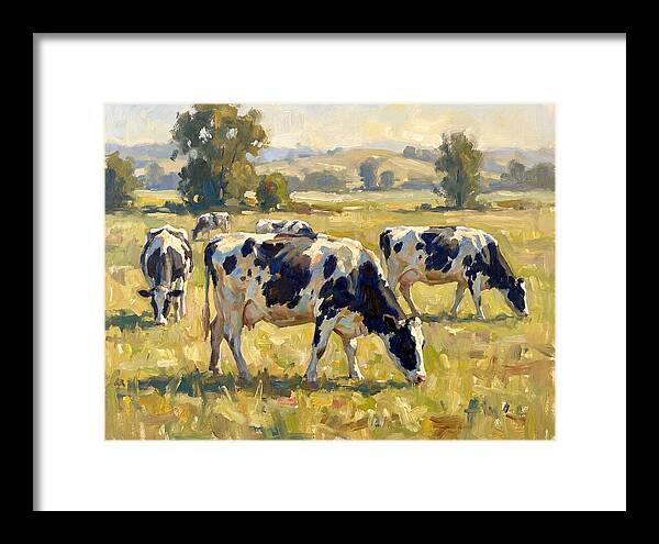 Holstein Cattle Grazing In Pasture