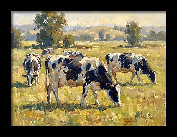 Holstein Cattle Grazing In Pasture