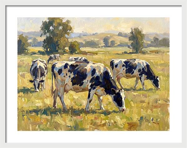 Holstein Cattle Grazing In Pasture