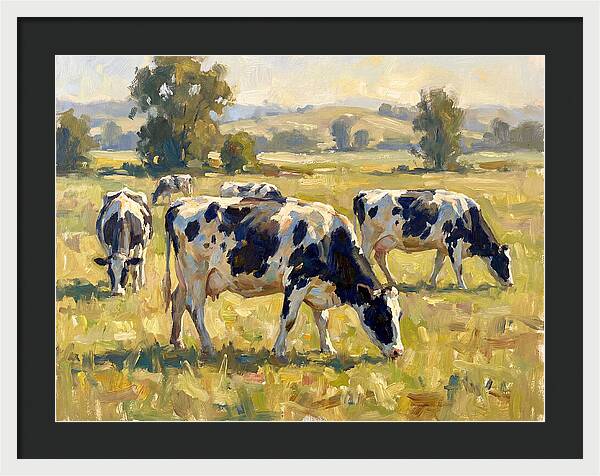 Holstein Cattle Grazing In Pasture