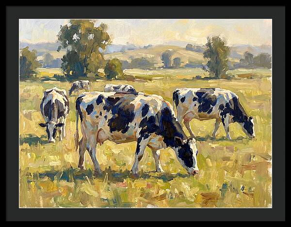 Holstein Cattle Grazing In Pasture