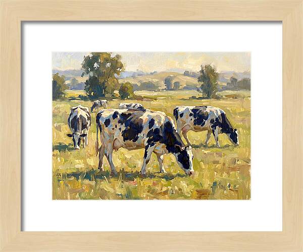 Holstein Cattle Grazing In Pasture
