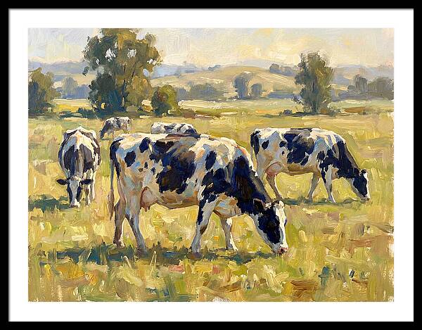 Holstein Cattle Grazing In Pasture
