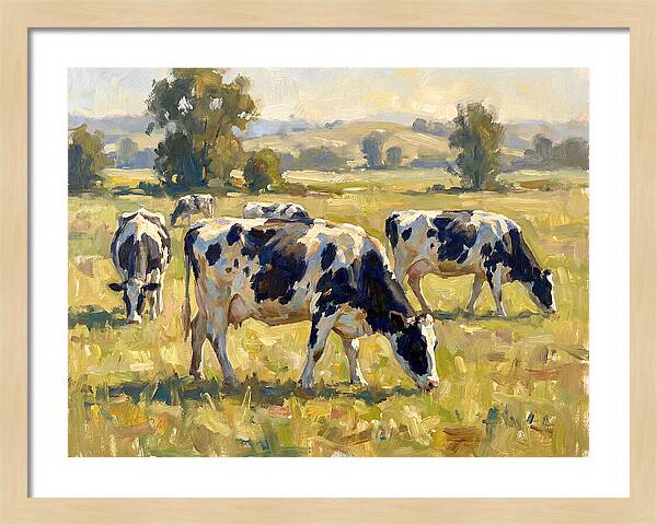 Holstein Cattle Grazing In Pasture
