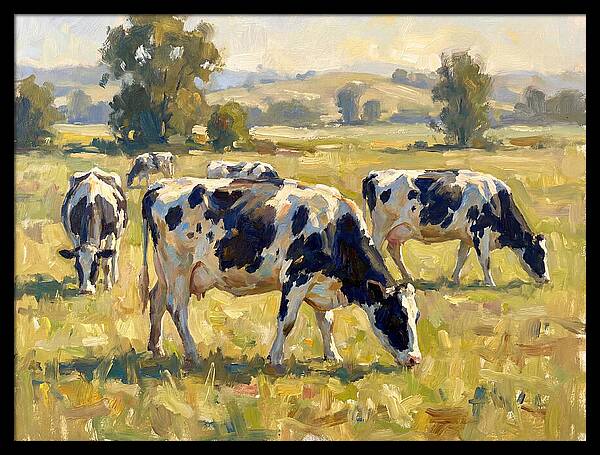 Holstein Cattle Grazing In Pasture
