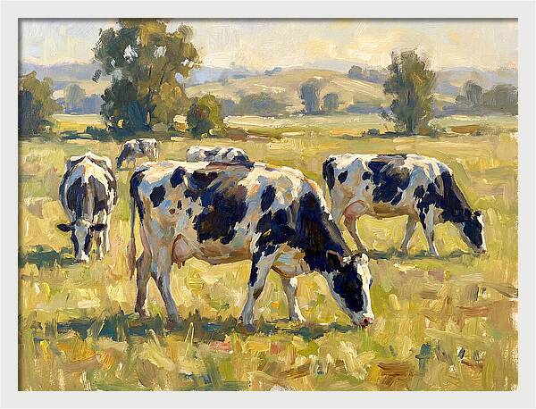 Holstein Cattle Grazing In Pasture
