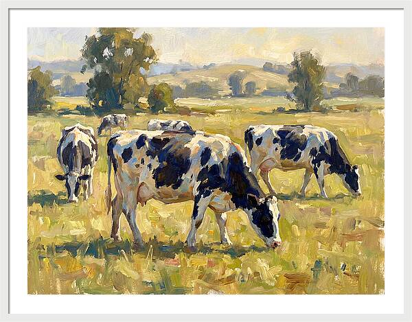 Holstein Cattle Grazing In Pasture