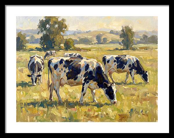 Holstein Cattle Grazing In Pasture