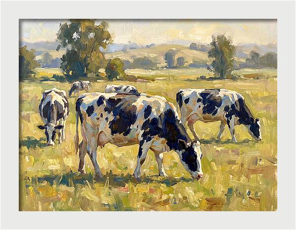 Holstein Cattle Grazing In Pasture