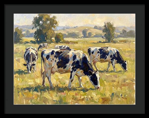 Holstein Cattle Grazing In Pasture