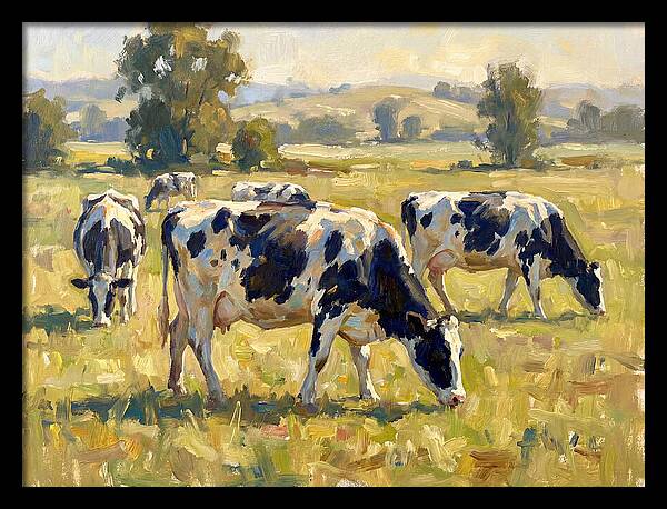 Holstein Cattle Grazing In Pasture