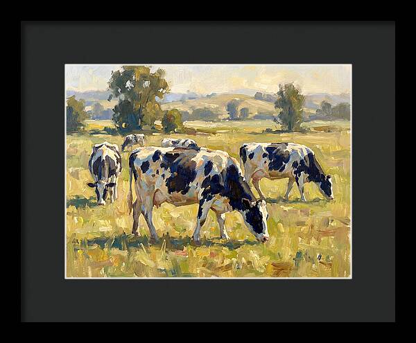 Holstein Cattle Grazing In Pasture