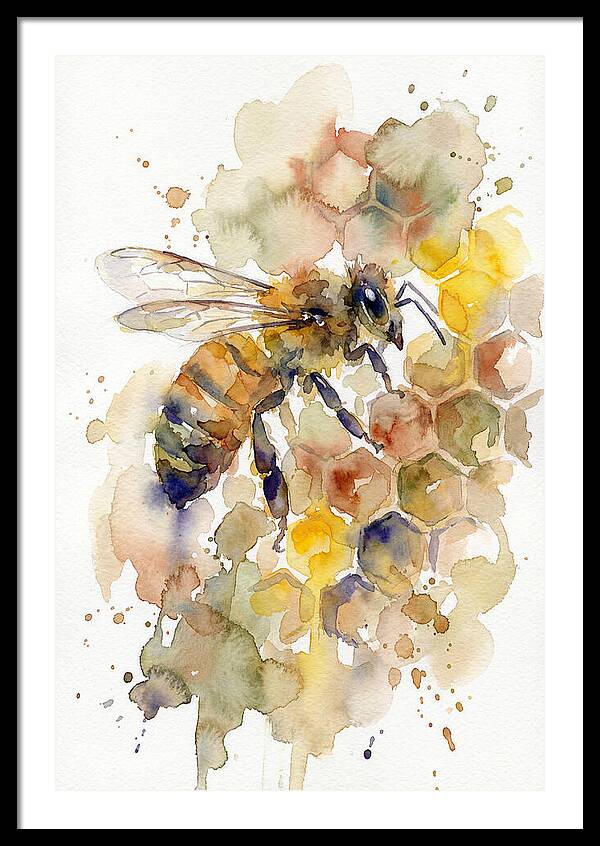 Honeybee Among Honeycomb