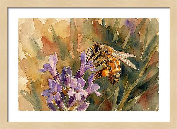 Honeybee Among Lavender Blooms