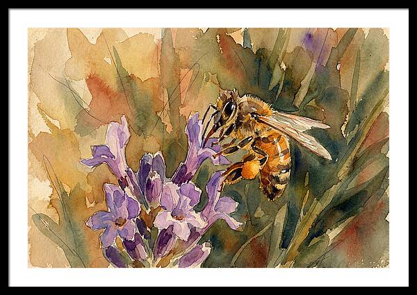 Honeybee Among Lavender Blooms