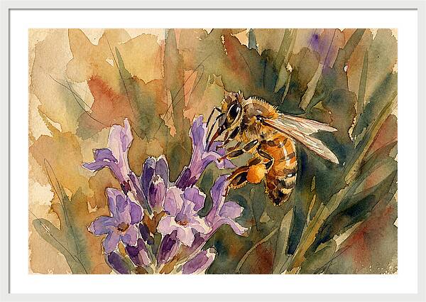 Honeybee Among Lavender Blooms