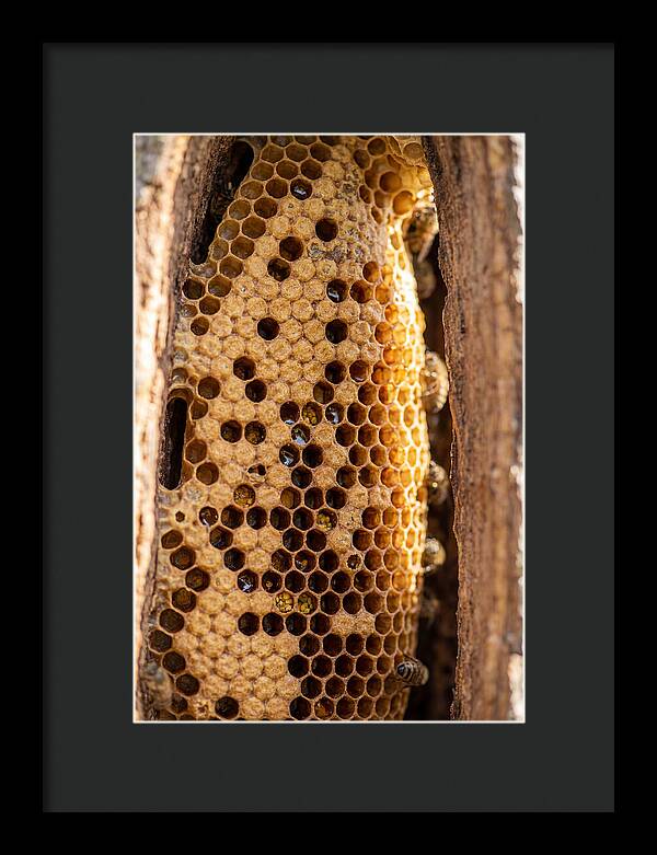 Honeycomb Structure Revealed