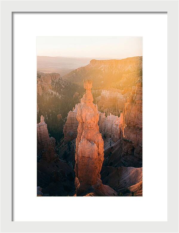 Hoodoo Emergence At Bryce Canyon