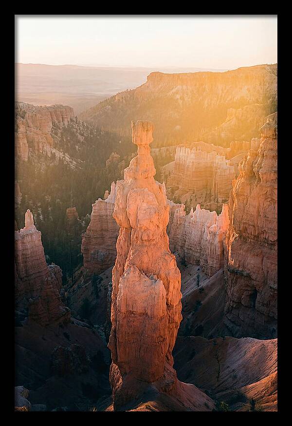 Hoodoo Emergence At Bryce Canyon