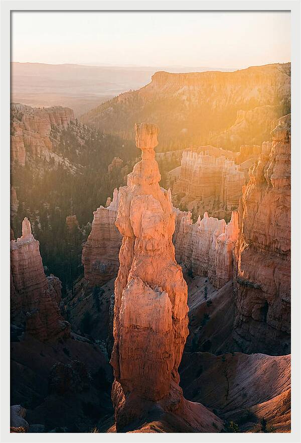 Hoodoo Emergence At Bryce Canyon