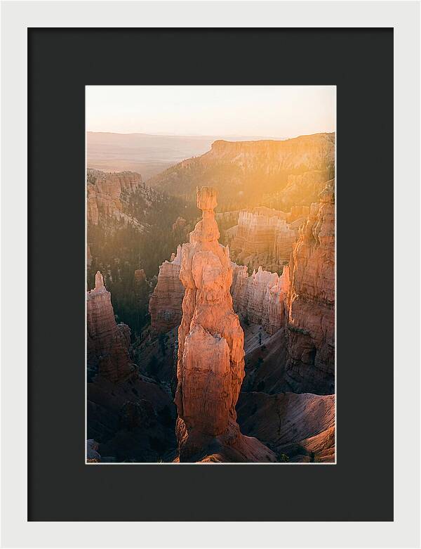 Hoodoo Emergence At Bryce Canyon