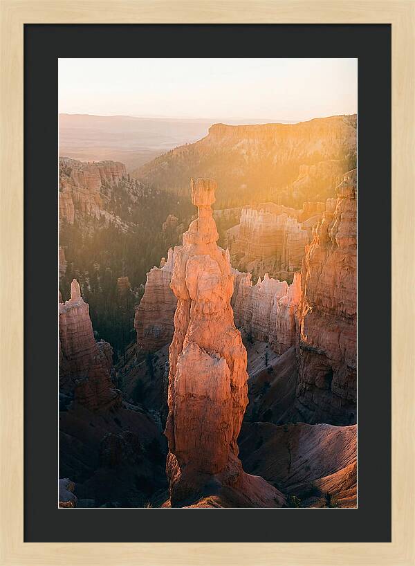 Hoodoo Emergence At Bryce Canyon