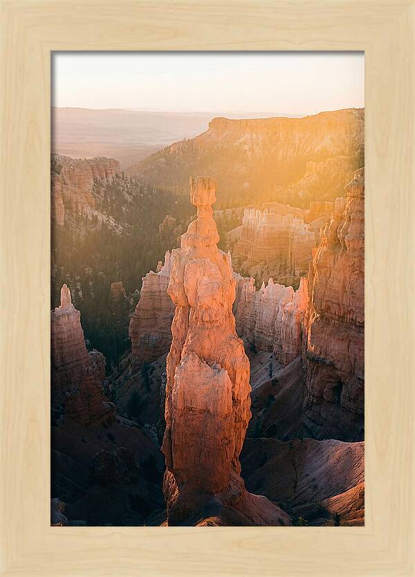 Hoodoo Emergence At Bryce Canyon