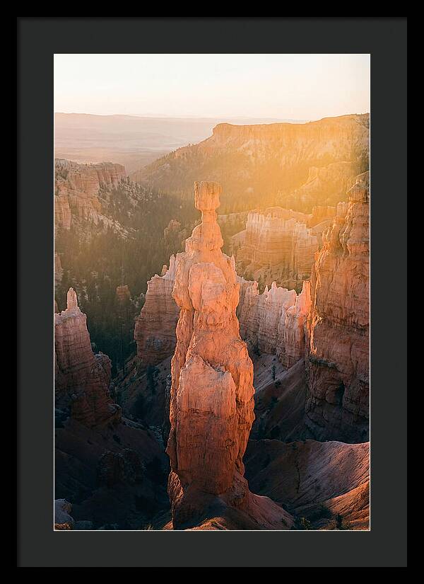 Hoodoo Emergence At Bryce Canyon