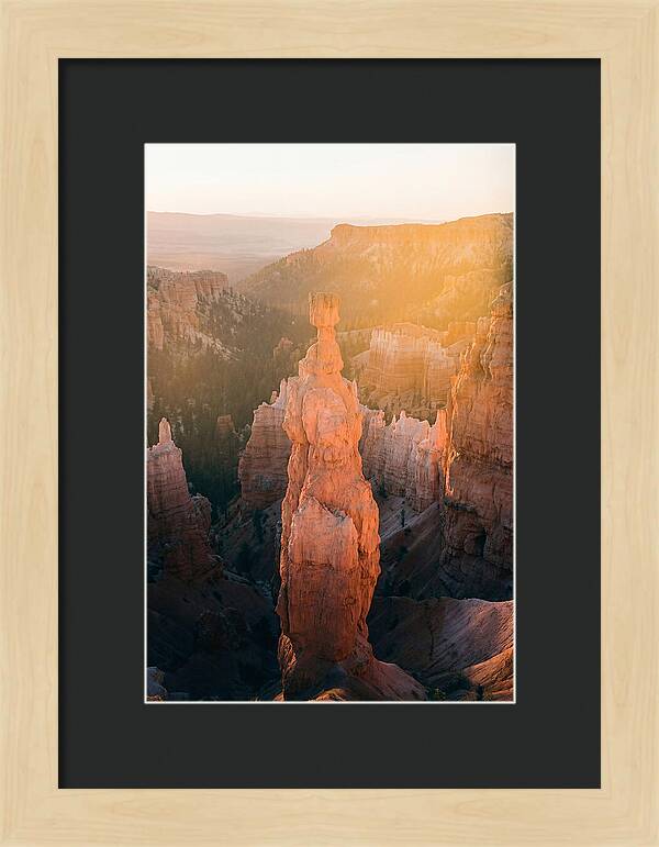 Hoodoo Emergence At Bryce Canyon