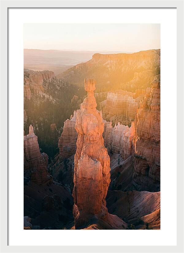 Hoodoo Emergence At Bryce Canyon
