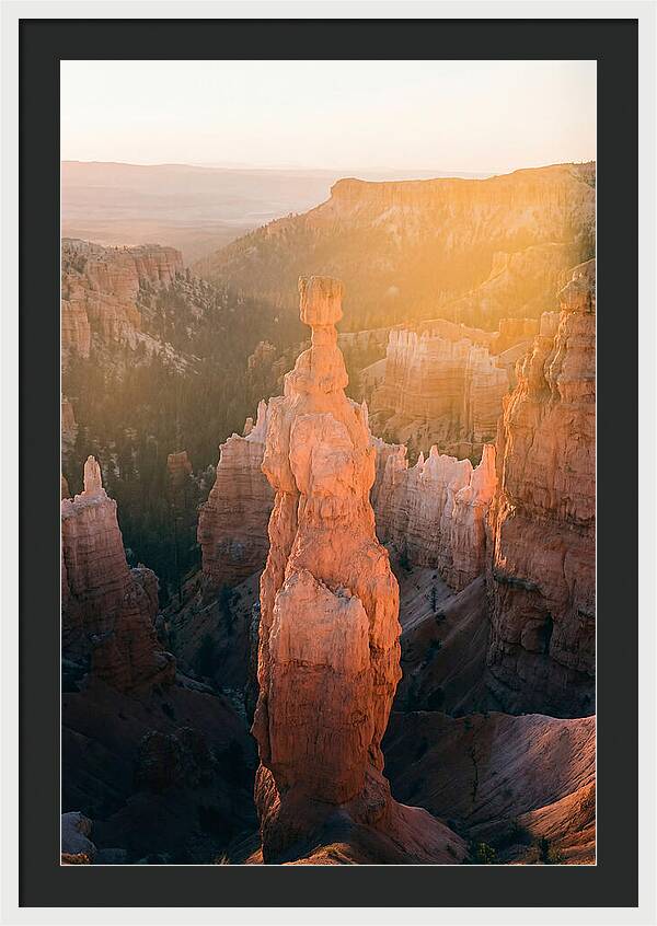 Hoodoo Emergence At Bryce Canyon