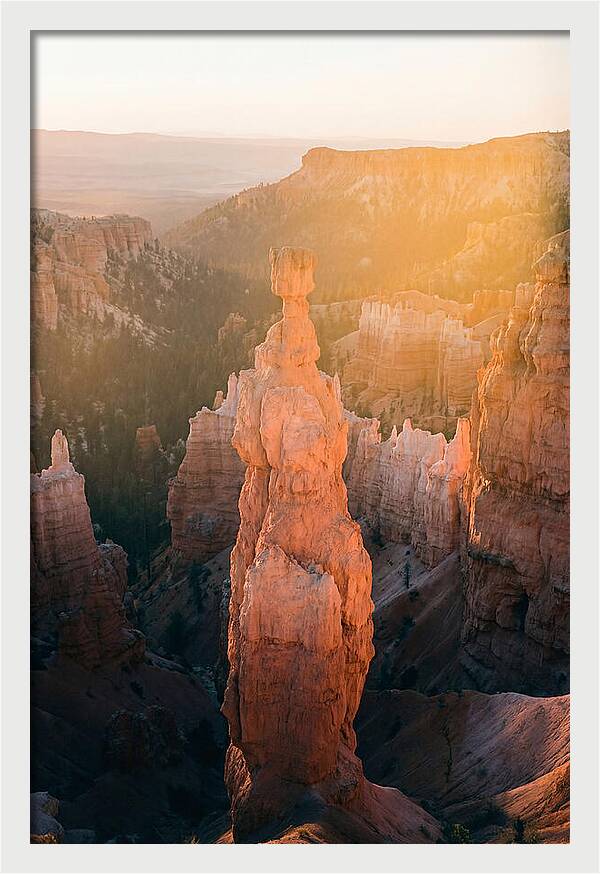 Hoodoo Emergence At Bryce Canyon