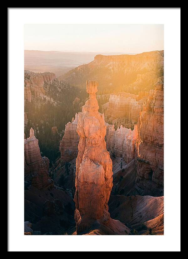 Hoodoo Emergence At Bryce Canyon