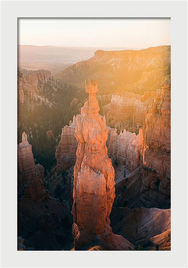 Hoodoo Emergence At Bryce Canyon