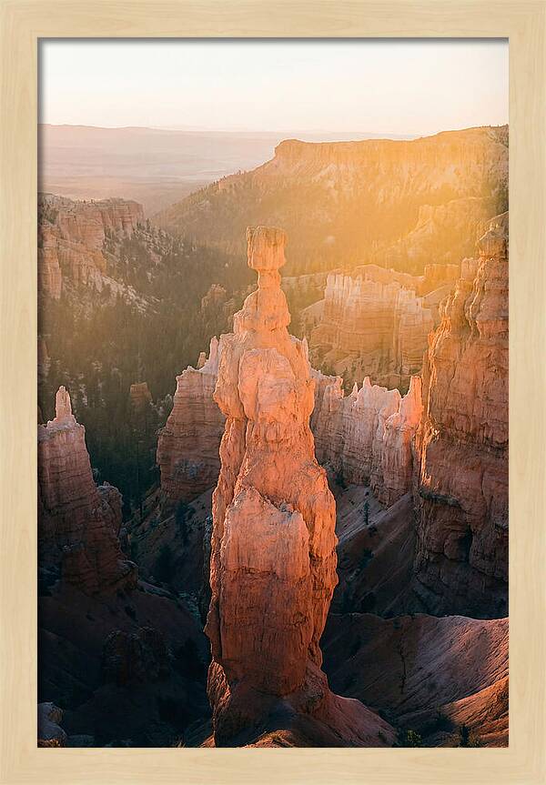 Hoodoo Emergence At Bryce Canyon