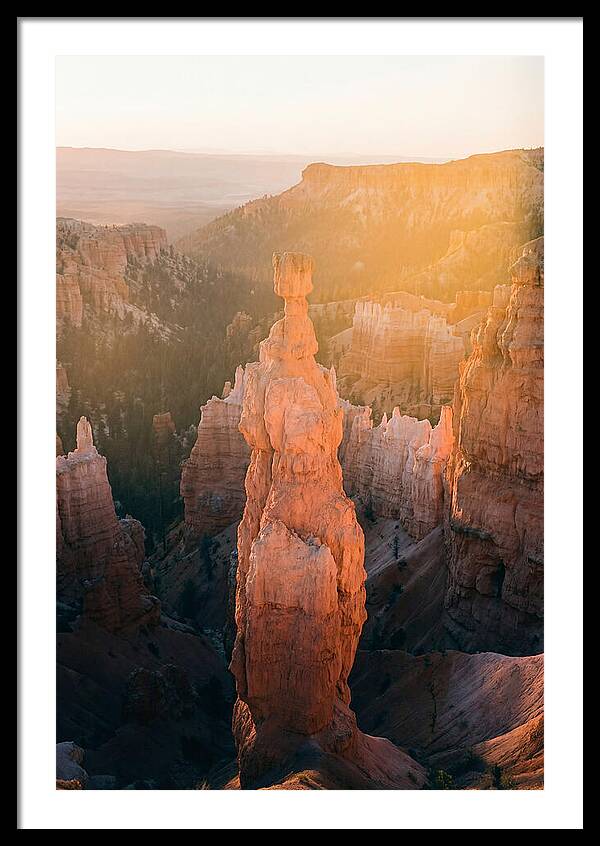 Hoodoo Emergence At Bryce Canyon