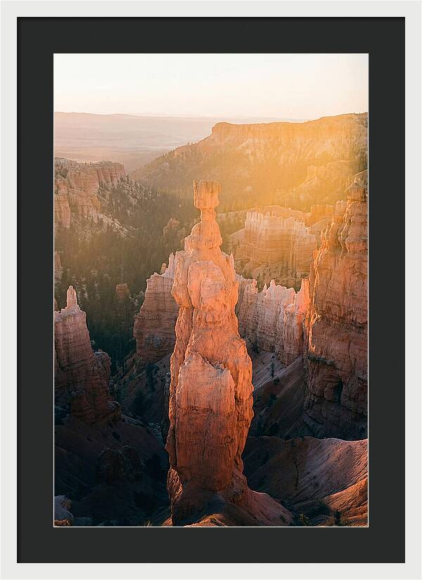 Hoodoo Emergence At Bryce Canyon