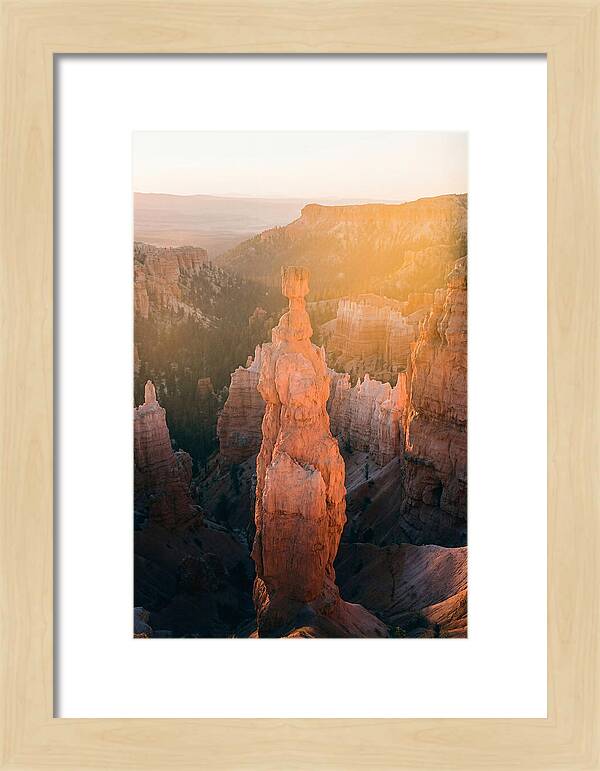 Hoodoo Emergence At Bryce Canyon