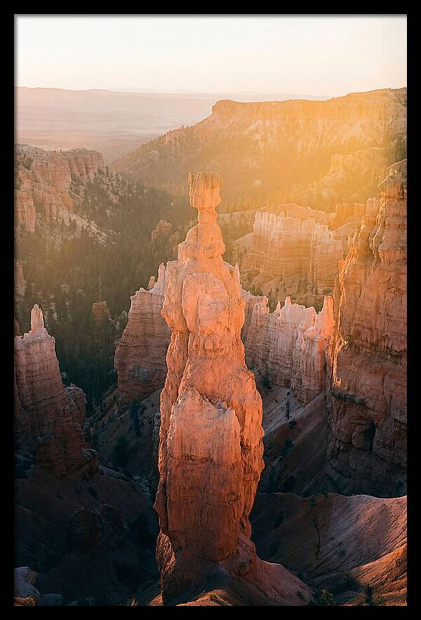 Hoodoo Emergence At Bryce Canyon