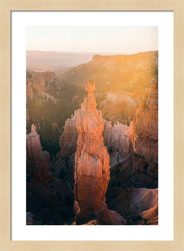 Hoodoo Emergence At Bryce Canyon