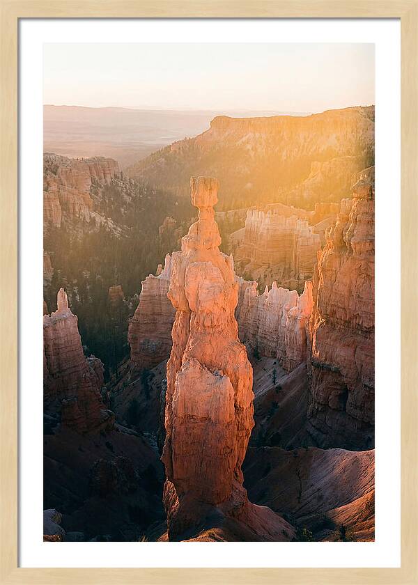 Hoodoo Emergence At Bryce Canyon