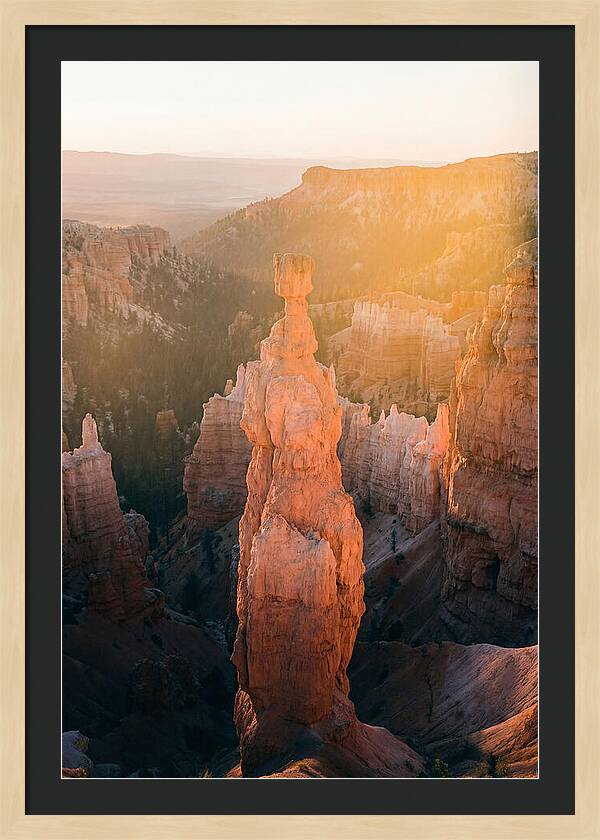 Hoodoo Emergence At Bryce Canyon