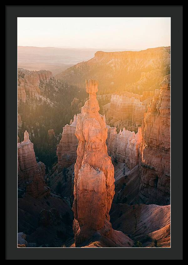 Hoodoo Emergence At Bryce Canyon