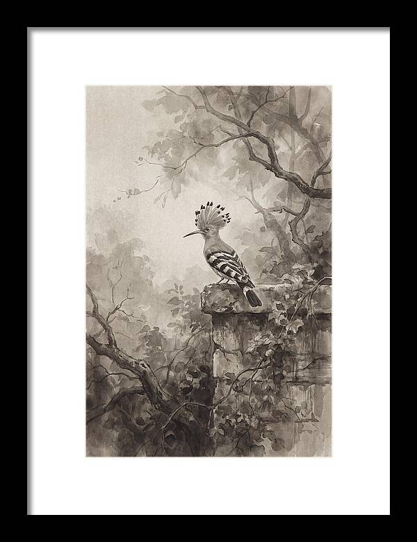 Hoopoe Bird In Serene Garden