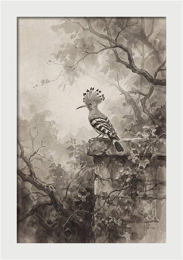 Hoopoe Bird In Serene Garden