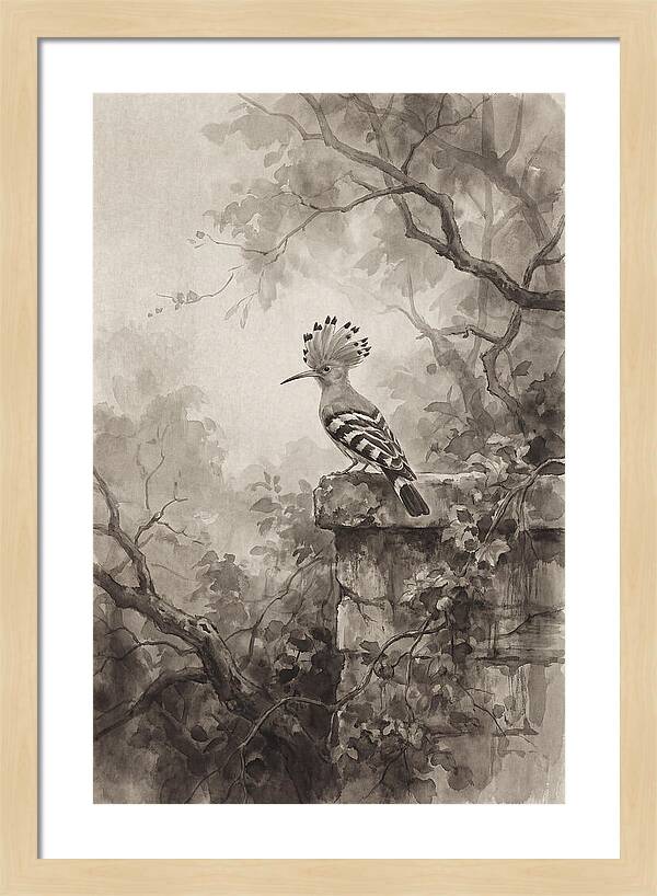Hoopoe Bird In Serene Garden